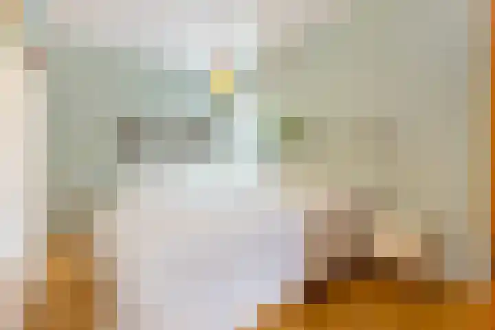 Aartshertogenlaan 241 's-Hertogenbosch thumbnail 12