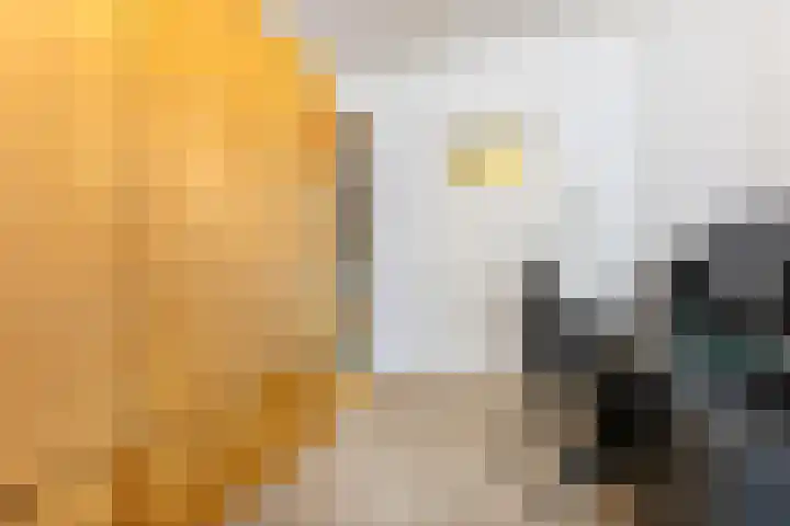 Aartshertogenlaan 241 's-Hertogenbosch thumbnail 14
