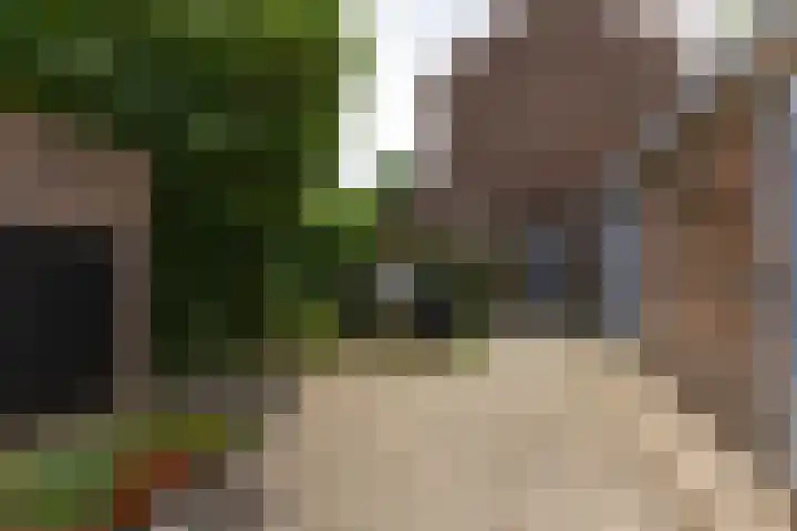 Aartshertogenlaan 241 's-Hertogenbosch thumbnail 20