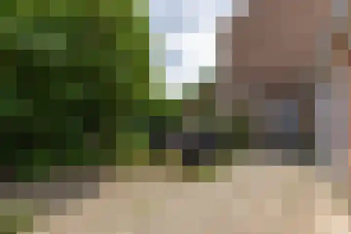 Aartshertogenlaan 241 's-Hertogenbosch thumbnail 21