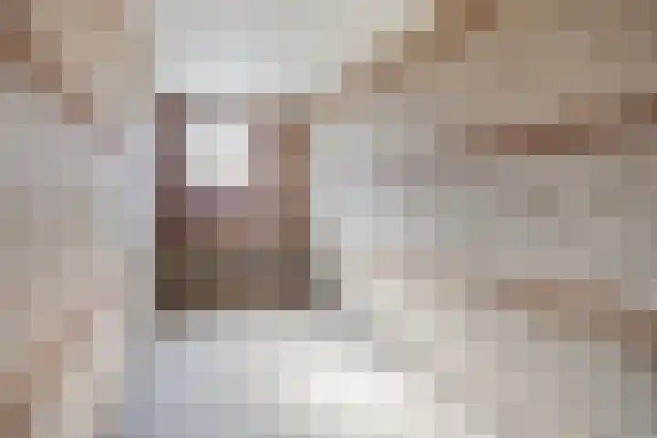 Aartshertogenlaan 244 's-Hertogenbosch thumbnail 24