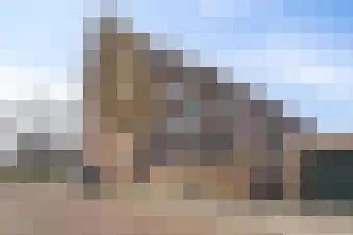 Aartshertogenlaan 244 's-Hertogenbosch thumbnail 25