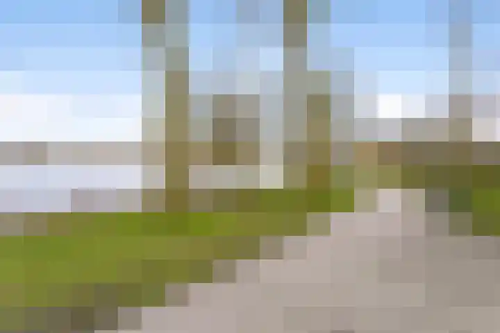 Aartshertogenlaan 244 's-Hertogenbosch thumbnail 30