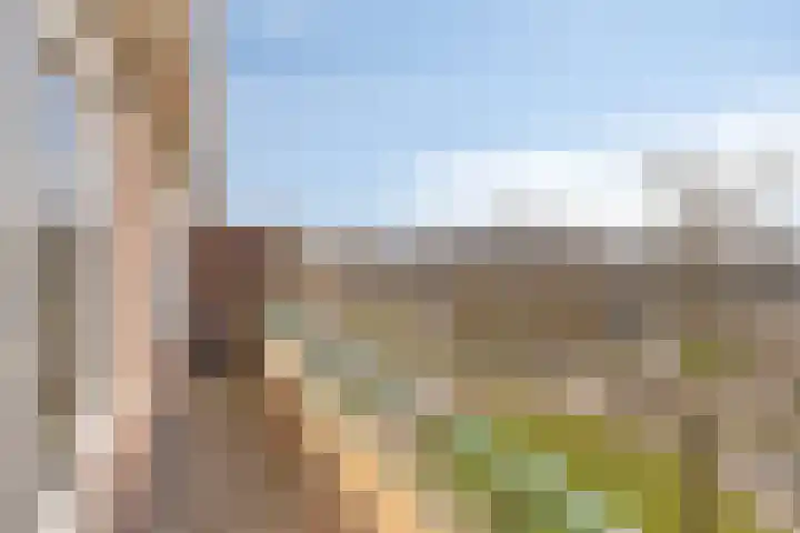 Aartshertogenlaan 244 's-Hertogenbosch thumbnail 7