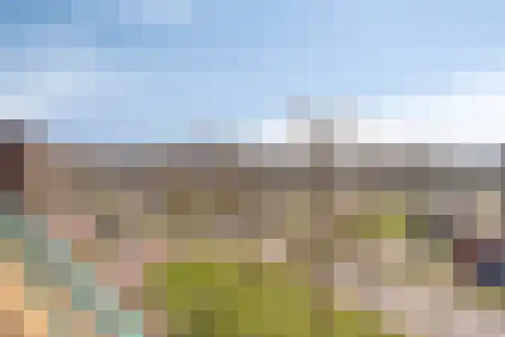 Aartshertogenlaan 244 's-Hertogenbosch thumbnail 8