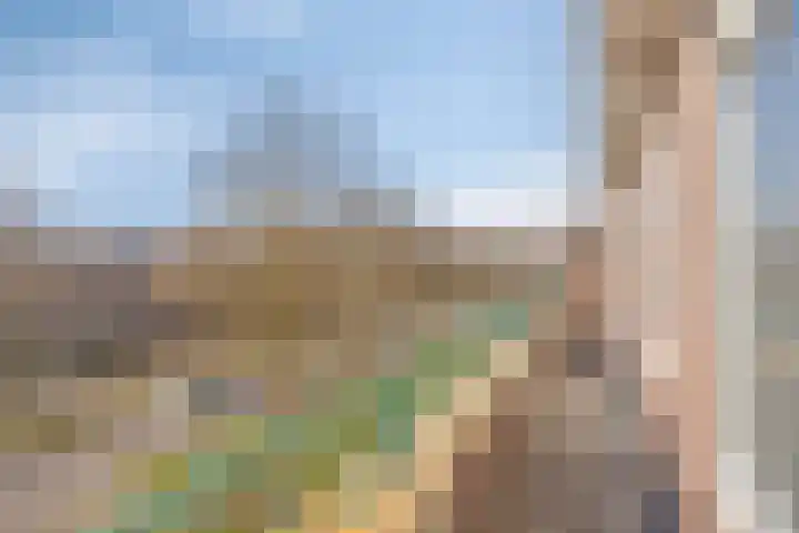 Aartshertogenlaan 244 's-Hertogenbosch thumbnail 9