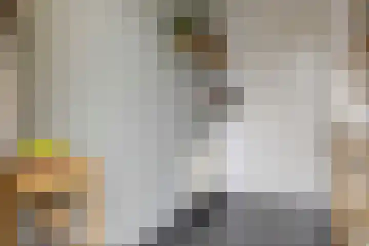 Aartshertogenlaan 245 's-Hertogenbosch thumbnail 16