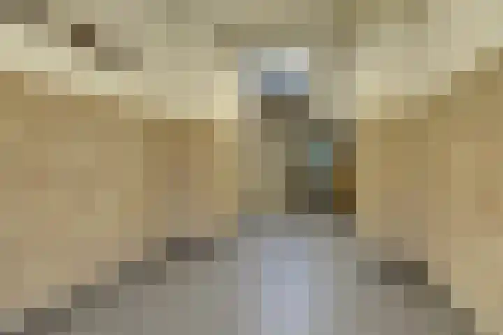 Aartshertogenlaan 245 's-Hertogenbosch thumbnail 17