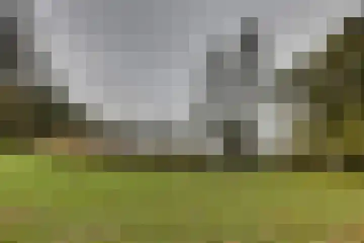 Aartshertogenlaan 245 's-Hertogenbosch thumbnail 19