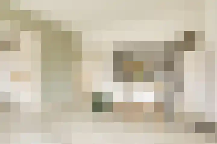 Aartshertogenlaan 245 's-Hertogenbosch thumbnail 4