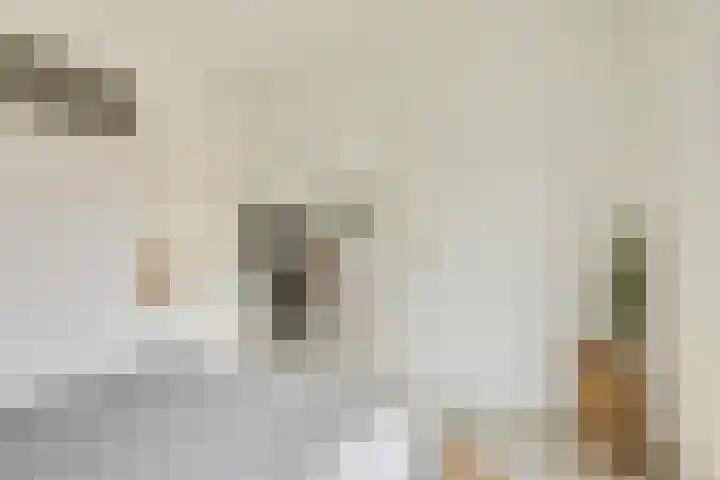 Aartshertogenlaan 245 's-Hertogenbosch thumbnail 7