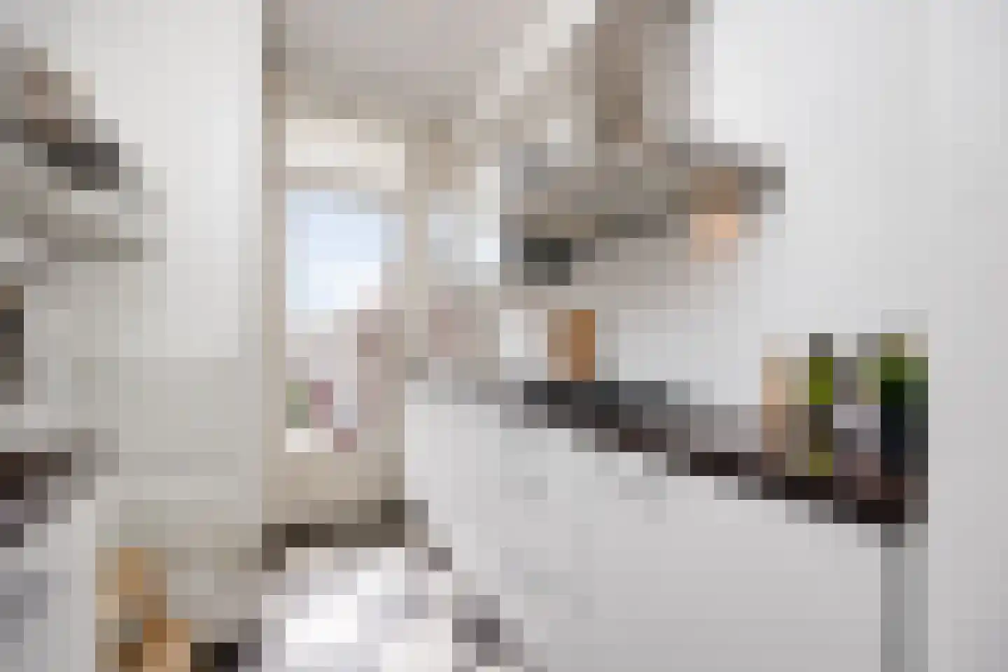 Aartshertogenlaan 253 's-Hertogenbosch thumbnail 19