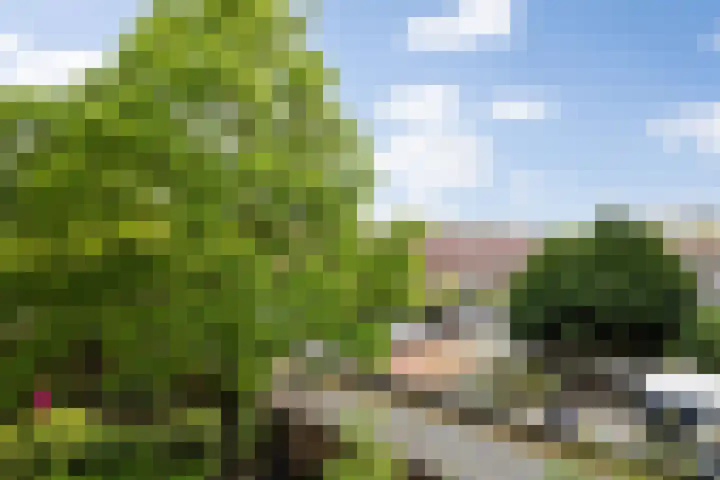 Aartshertogenlaan 253 's-Hertogenbosch thumbnail 25
