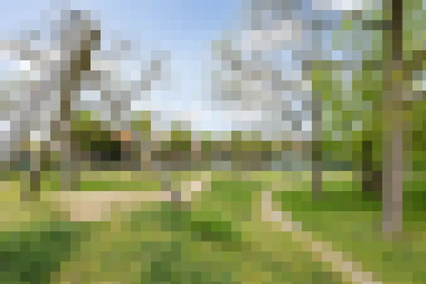 Aartshertogenlaan 253 's-Hertogenbosch thumbnail 39
