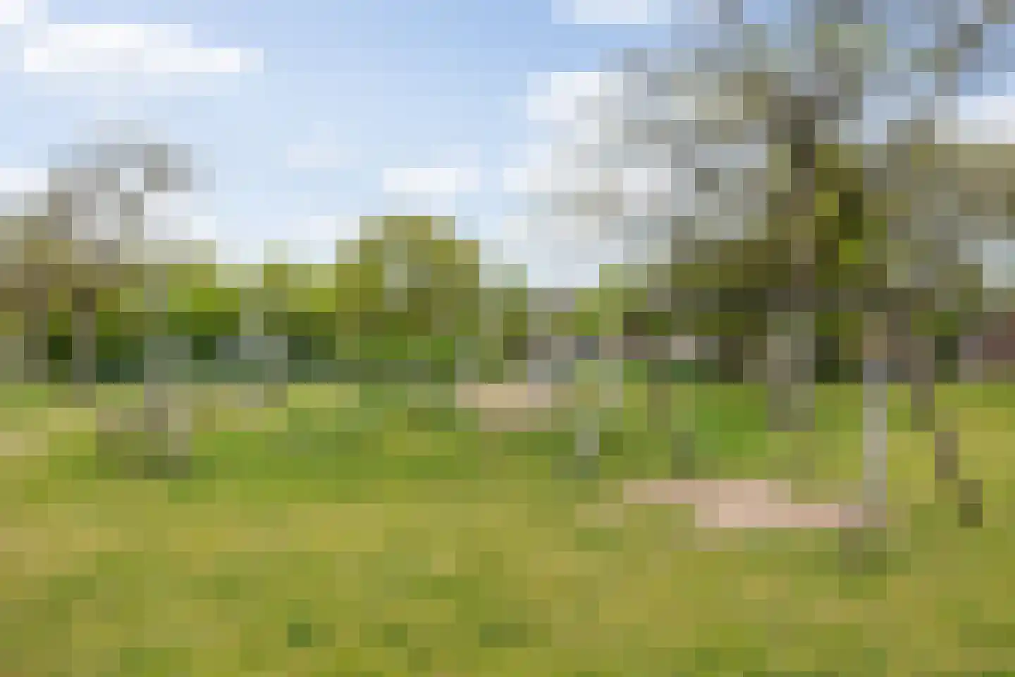 Aartshertogenlaan 253 's-Hertogenbosch thumbnail 41
