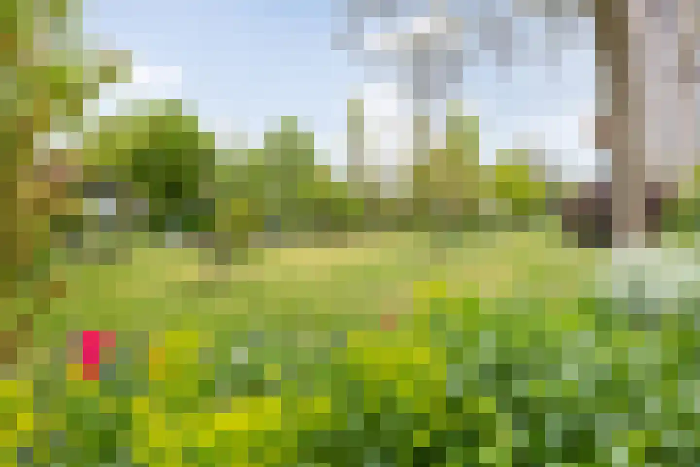 Aartshertogenlaan 253 's-Hertogenbosch thumbnail 42