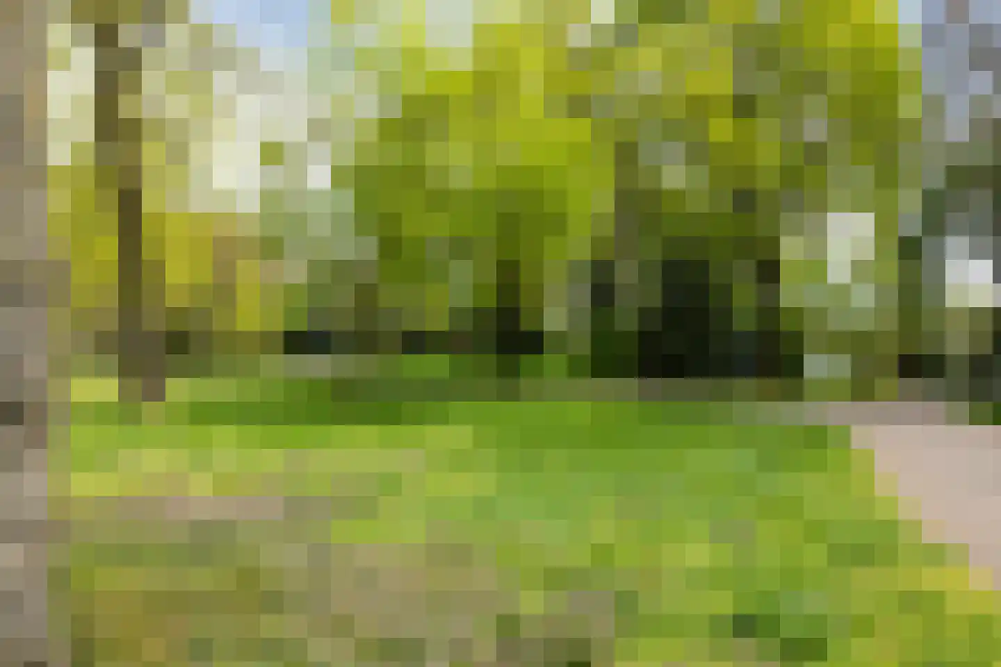 Aartshertogenlaan 253 's-Hertogenbosch thumbnail 43