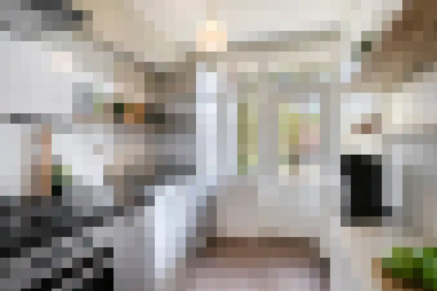 Aartshertogenlaan 256 A 's-Hertogenbosch thumbnail 18
