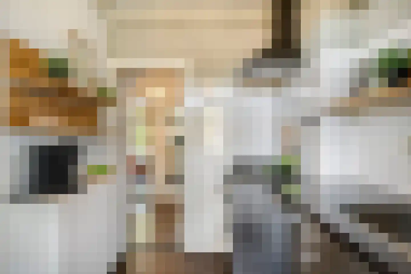 Aartshertogenlaan 256 A 's-Hertogenbosch thumbnail 19