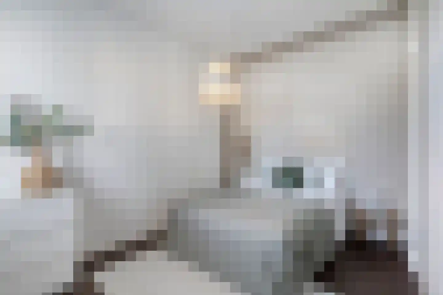 Aartshertogenlaan 256 A 's-Hertogenbosch thumbnail 23