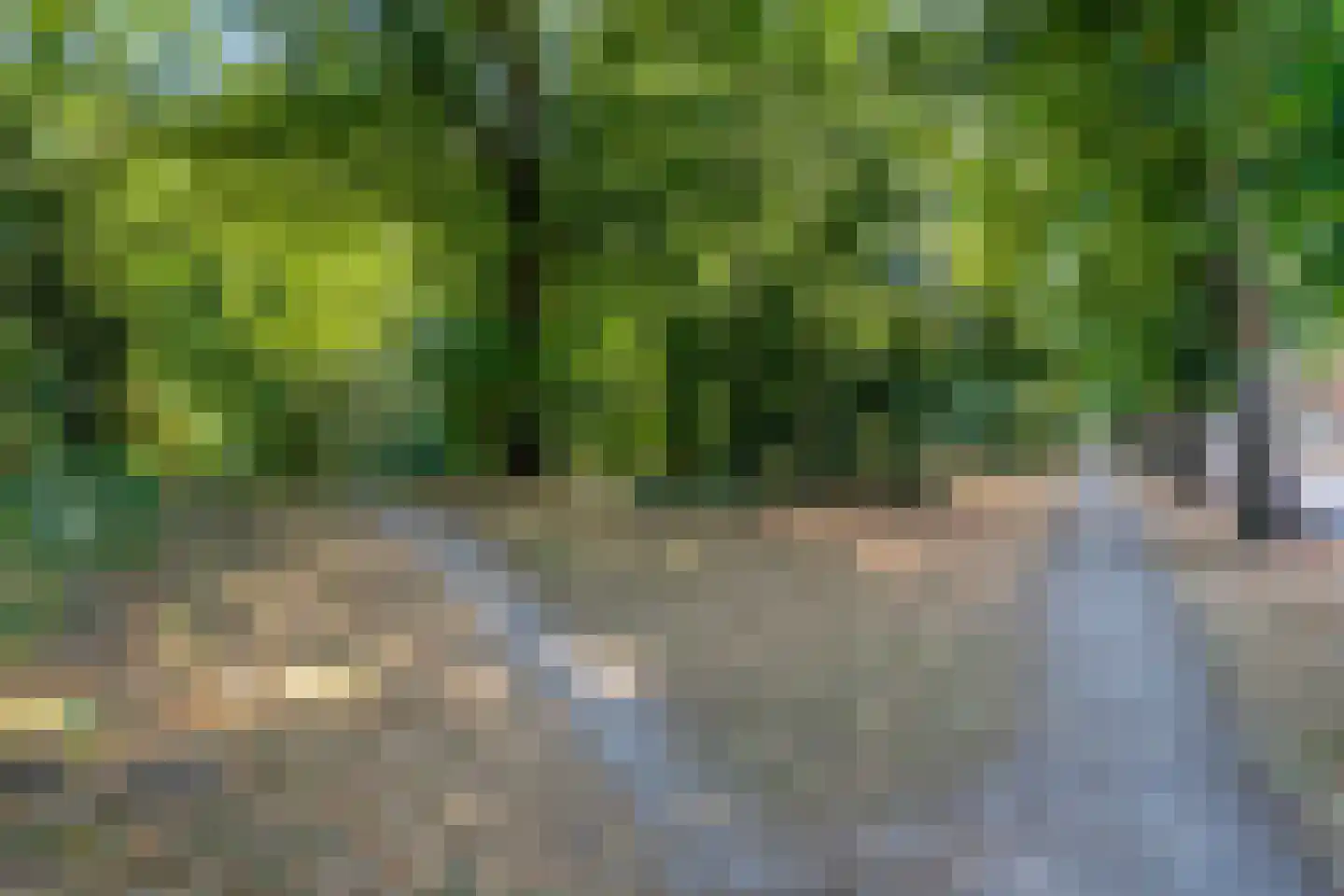 Aartshertogenlaan 256 A 's-Hertogenbosch thumbnail 29