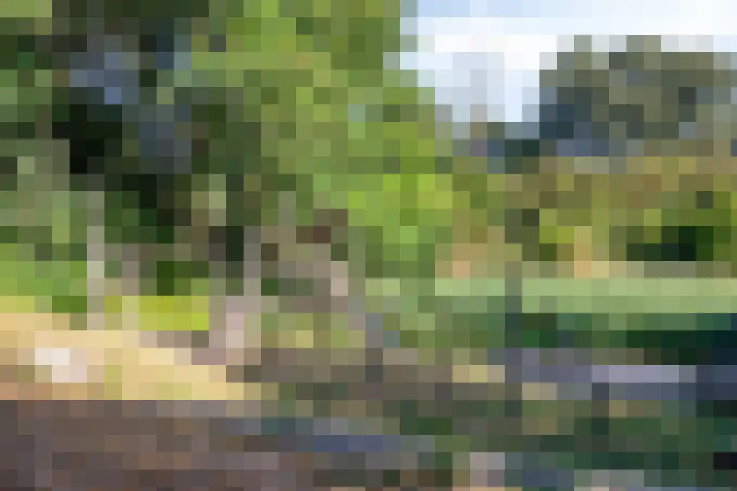 Aartshertogenlaan 256 A 's-Hertogenbosch thumbnail 30