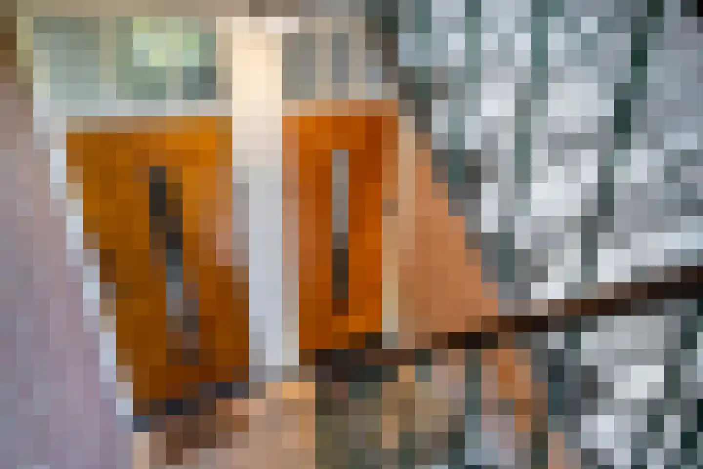 Aartshertogenlaan 256 A 's-Hertogenbosch thumbnail 8