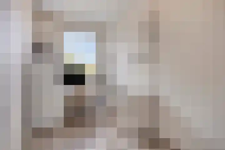 Aartshertogenlaan 256 B 's-Hertogenbosch thumbnail 12