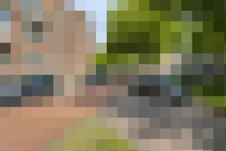Aartshertogenlaan 256 B 's-Hertogenbosch thumbnail 21