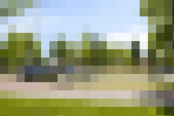 Aartshertogenlaan 256 B 's-Hertogenbosch thumbnail 22