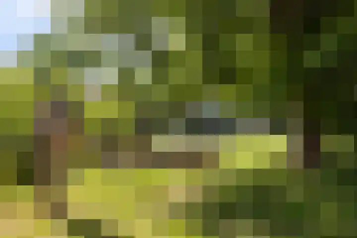 Aartshertogenlaan 256 B 's-Hertogenbosch thumbnail 24