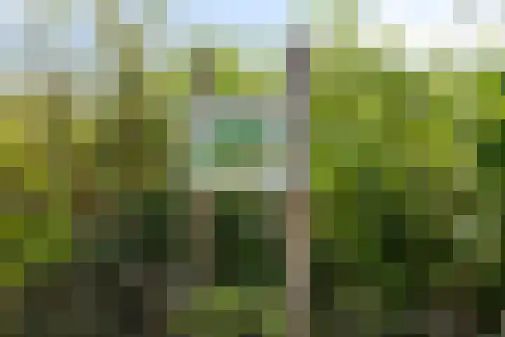 Aartshertogenlaan 256 B 's-Hertogenbosch thumbnail 25