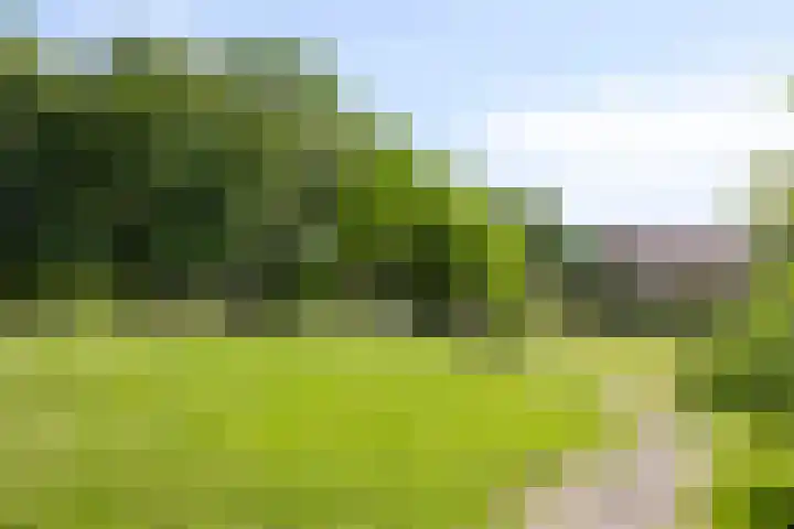 Aartshertogenlaan 256 B 's-Hertogenbosch thumbnail 26