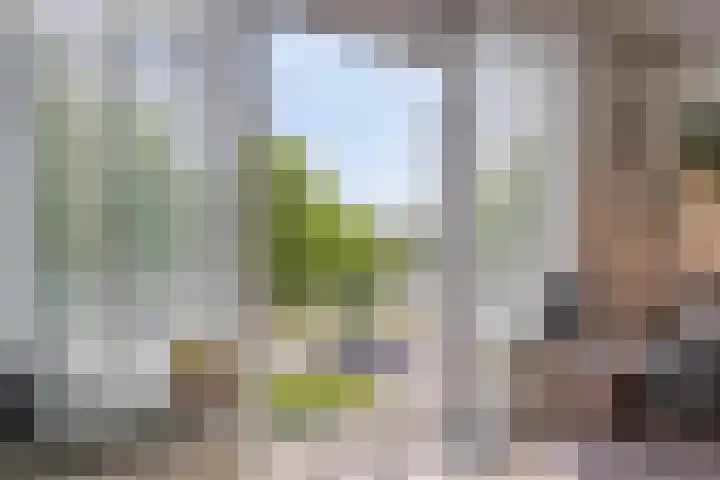 Aartshertogenlaan 256 B 's-Hertogenbosch thumbnail 6