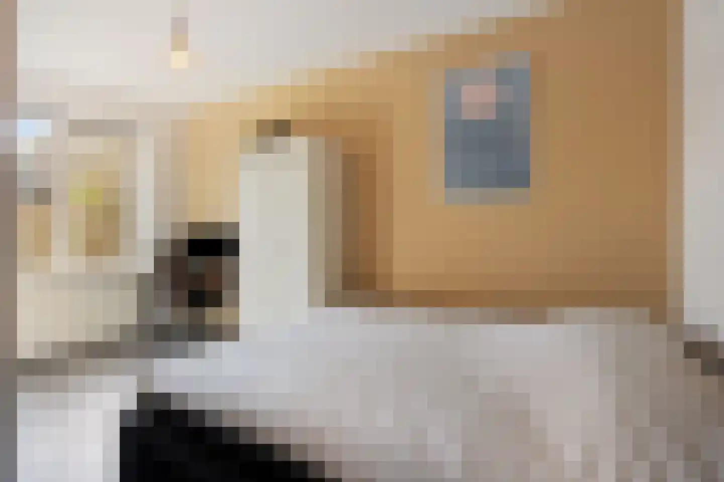 Aartshertogenlaan 257 's-Hertogenbosch thumbnail 10