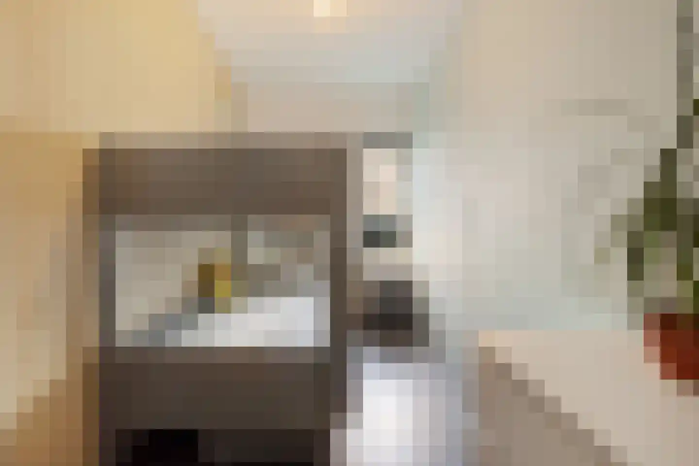 Aartshertogenlaan 257 's-Hertogenbosch thumbnail 16
