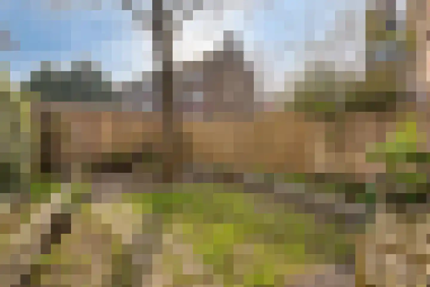 Aartshertogenlaan 257 's-Hertogenbosch thumbnail 20