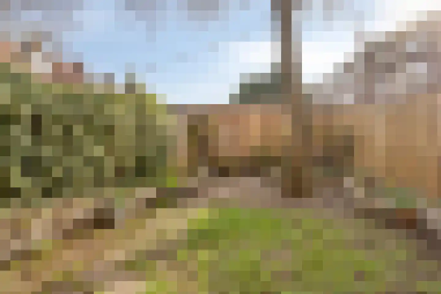 Aartshertogenlaan 257 's-Hertogenbosch thumbnail 21