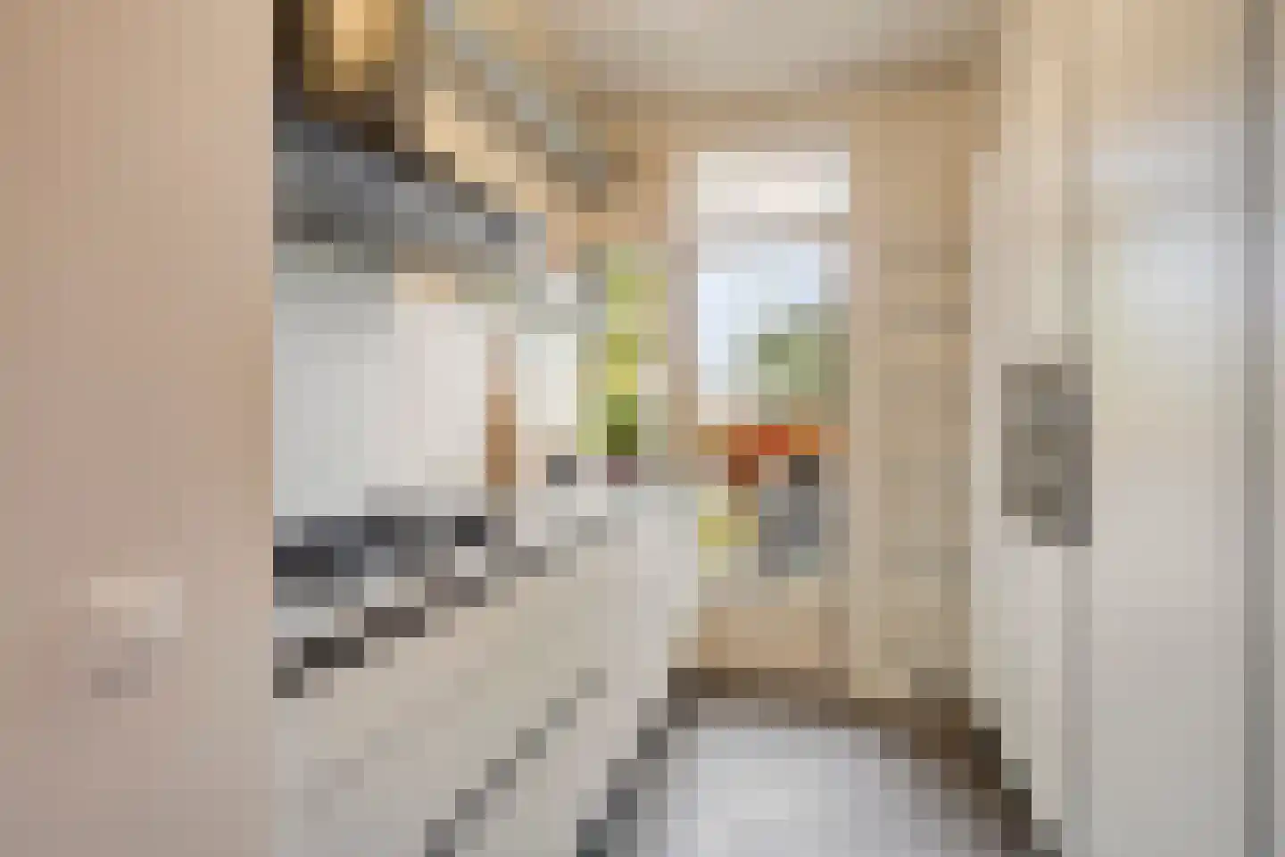 Aartshertogenlaan 259 's-Hertogenbosch thumbnail 13