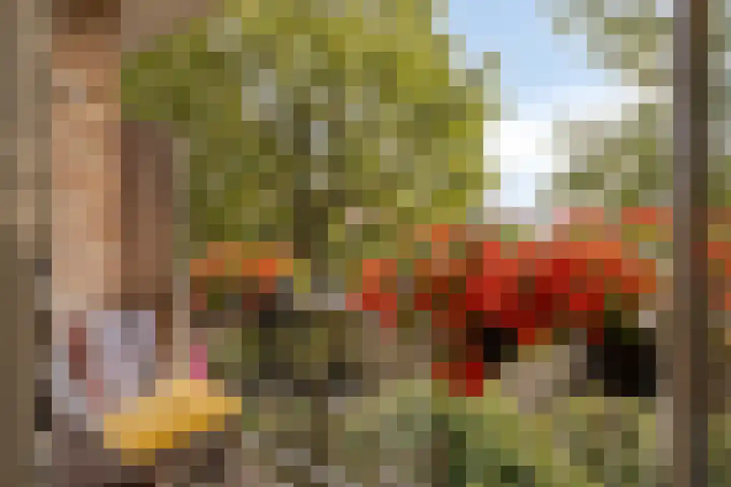 Aartshertogenlaan 259 's-Hertogenbosch thumbnail 21