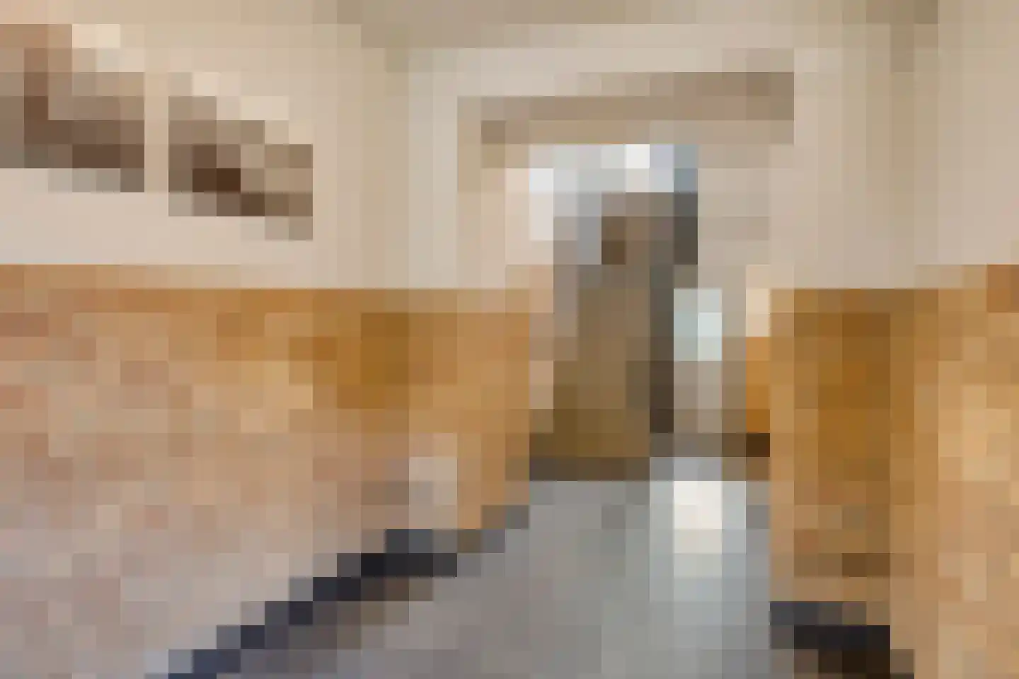 Aartshertogenlaan 259 's-Hertogenbosch thumbnail 23