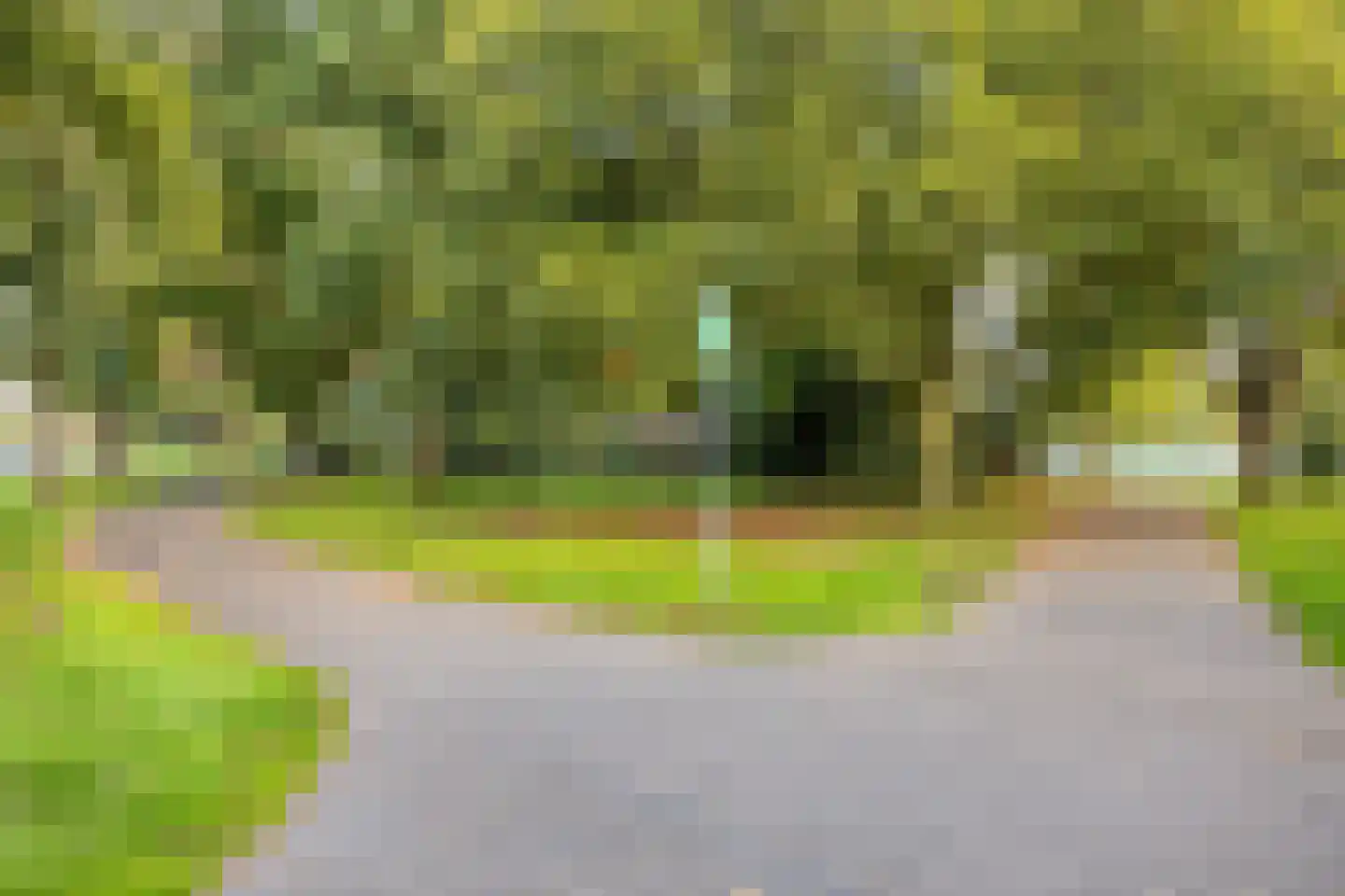 Aartshertogenlaan 259 's-Hertogenbosch thumbnail 24