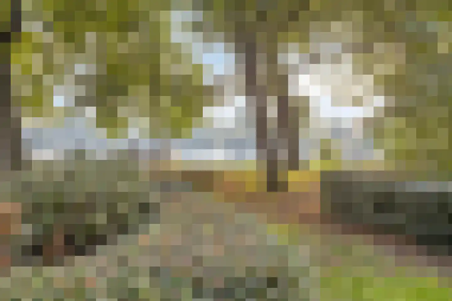 Aartshertogenlaan 259 's-Hertogenbosch thumbnail 25