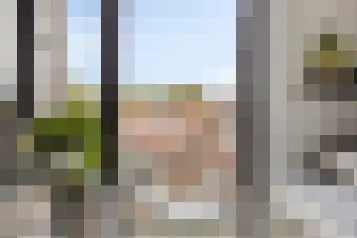 Aartshertogenlaan 260 B 's-Hertogenbosch thumbnail 11