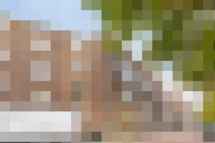 Aartshertogenlaan 260 B 's-Hertogenbosch thumbnail 22
