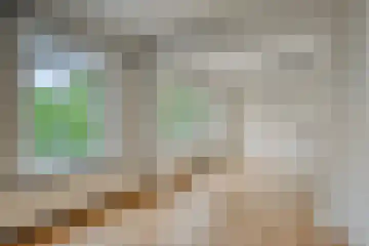 Aartshertogenlaan 262 C 's-Hertogenbosch thumbnail 12