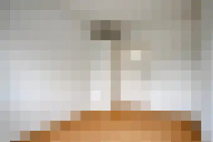 Aartshertogenlaan 262 C 's-Hertogenbosch thumbnail 19