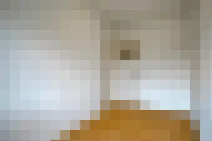 Aartshertogenlaan 262 C 's-Hertogenbosch thumbnail 23