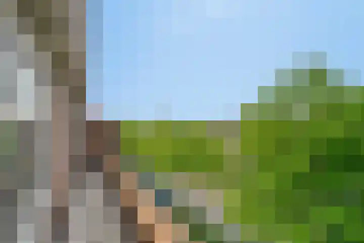 Aartshertogenlaan 262 C 's-Hertogenbosch thumbnail 24