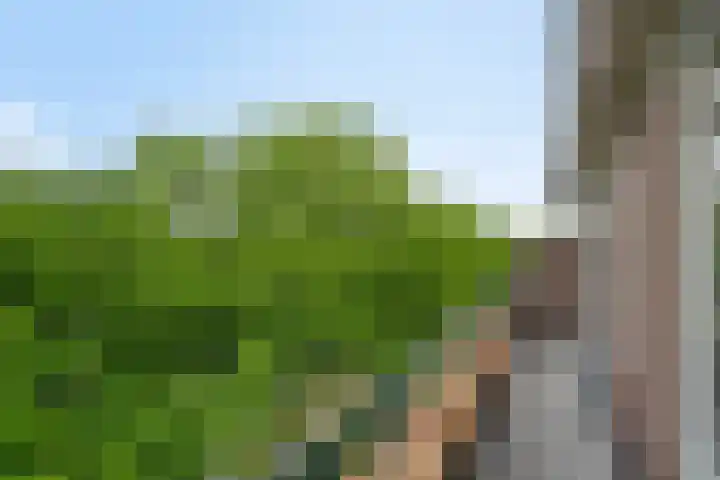 Aartshertogenlaan 262 C 's-Hertogenbosch thumbnail 25